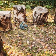 Усадьба Ромашкино, Лунево, Костромская область