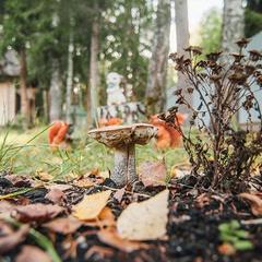 Усадьба Ромашкино, Лунево, Костромская область