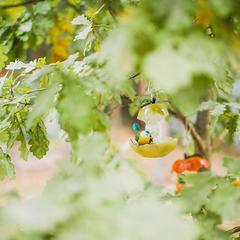 Усадьба Ромашкино, Лунево, Костромская область