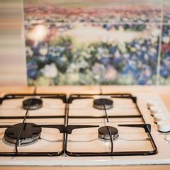 Усадьба Ромашкино, Лунево, Костромская область