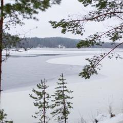 База отдыха Берлога, Лумиваара, Республика Карелия