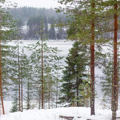 База отдыха Берлога, Лумиваара, Республика Карелия
