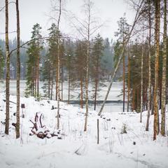 База отдыха Берлога, Лумиваара, Республика Карелия