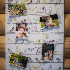 Усадьба Ромашкино, Лунево, Костромская область