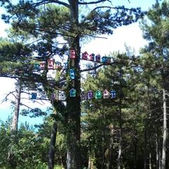 База отдыха Лунная Поляна, Магри, Краснодарский край