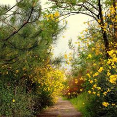 База отдыха Лунная Поляна, Магри, Краснодарский край
