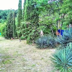 База отдыха Лунная Поляна, Магри, Краснодарский край