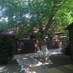 База отдыха Ковчег у реки, Майкоп, Республика Адыгея