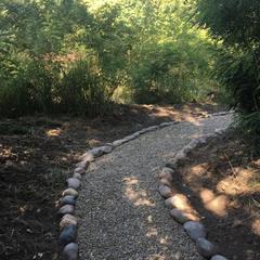 База отдыха Ковчег у реки, Майкоп, Республика Адыгея