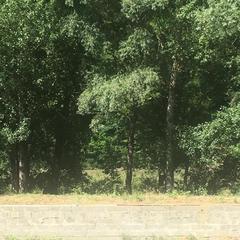 База отдыха Ковчег у реки, Майкоп, Республика Адыгея