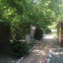 База отдыха Ковчег у реки, Майкоп, Республика Адыгея