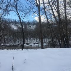 База отдыха Ковчег у реки, Майкоп, Республика Адыгея