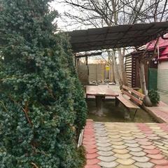 База отдыха Ковчег у реки, Майкоп, Республика Адыгея