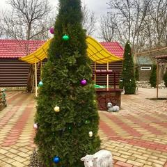 База отдыха Ковчег у реки, Майкоп, Республика Адыгея