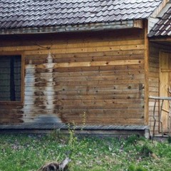 База отдыха Ранчо 19, Саяногорск, Республика Хакасия