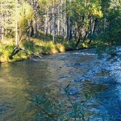 База отдыха Ранчо 19, Саяногорск, Республика Хакасия