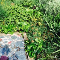 Мини-отель Посейдон, Майма, Республика Алтай