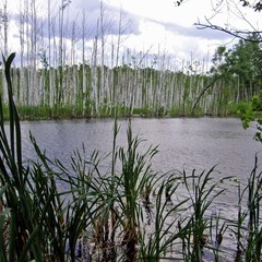 База отдыха На Маклоке, Маклок, Воронежская область