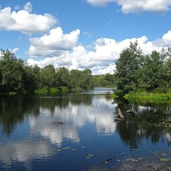 База отдыха На Маклоке, Маклок, Воронежская область
