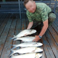 Охотничье-рыболовная база Блесна, Маково, Астраханская область