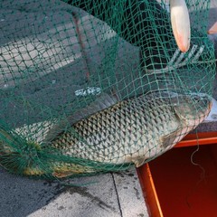 Отель AZIMUT Волга Астрахань, Маково, Астраханская область