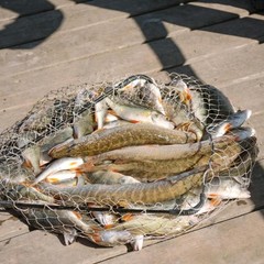 Отель AZIMUT Волга Астрахань, Маково, Астраханская область