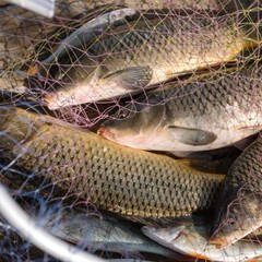 Отель AZIMUT Волга Астрахань, Маково, Астраханская область