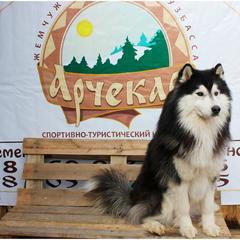 База отдыха Арчекас, Мариинск, Кемеровская область