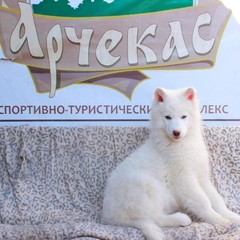 База отдыха Арчекас, Мариинск, Кемеровская область