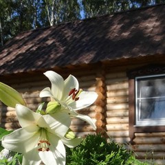 База отдыха Арчекас, Мариинск, Кемеровская область