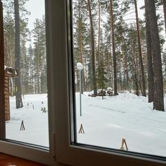 Парк-отель Подгорица, Манжерок, Республика Алтай