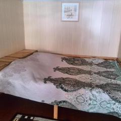 Гостевой дом У Василича, Манжерок, Республика Алтай