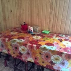 Гостевой дом У Василича, Манжерок, Республика Алтай