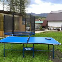 Гостевой дом У Василича, Манжерок, Республика Алтай