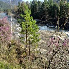 Гостевой дом У Василича, Манжерок, Республика Алтай