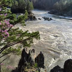 Гостевой дом У Василича, Манжерок, Республика Алтай