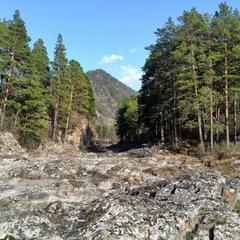 Гостевой дом У Василича, Манжерок, Республика Алтай