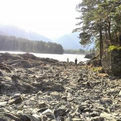 Гостевой дом У Василича, Манжерок, Республика Алтай