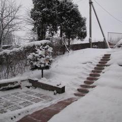 Загородный дом Солнца, Марфино, Московская область