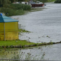Гостевой комплекс Галкина пристань, Матросово, Калининградская область