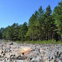 Гостевой дом У Василича, Манжерок, Республика Алтай