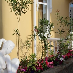 Гостевой дом Дизайн-вилла Массандра, Ялта, Крым