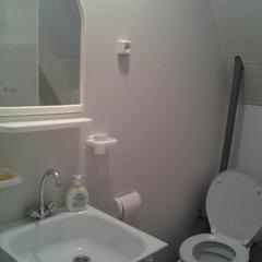 Гостевой дом У Василича, Манжерок, Республика Алтай