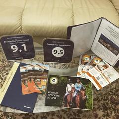 Гостевой дом Orange star, Мацеста, Краснодарский край