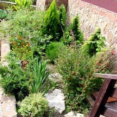 Гостевой дом Orange star, Мацеста, Краснодарский край