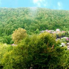 Гостевой дом Orange star, Мацеста, Краснодарский край