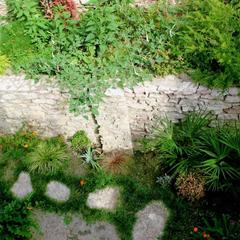 Гостевой дом Orange star, Мацеста, Краснодарский край