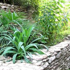 Гостевой дом Orange star, Мацеста, Краснодарский край