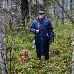 Гостевой дом Таежная сказка, Медвежьегорск, Республика Карелия