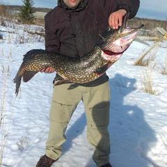 Гостевой дом Таежная сказка, Медвежьегорск, Республика Карелия